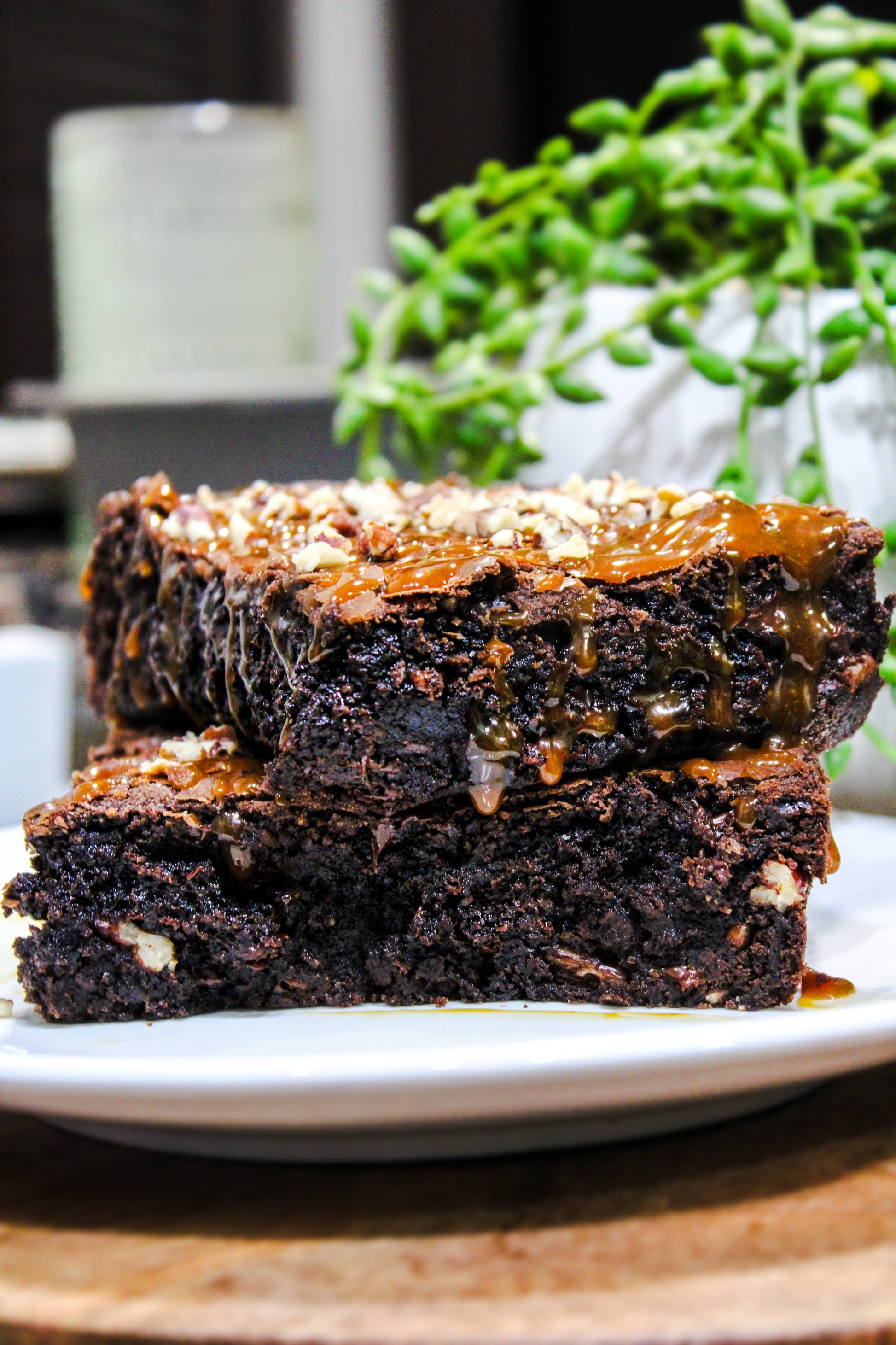 Molde para brownies de tortuga