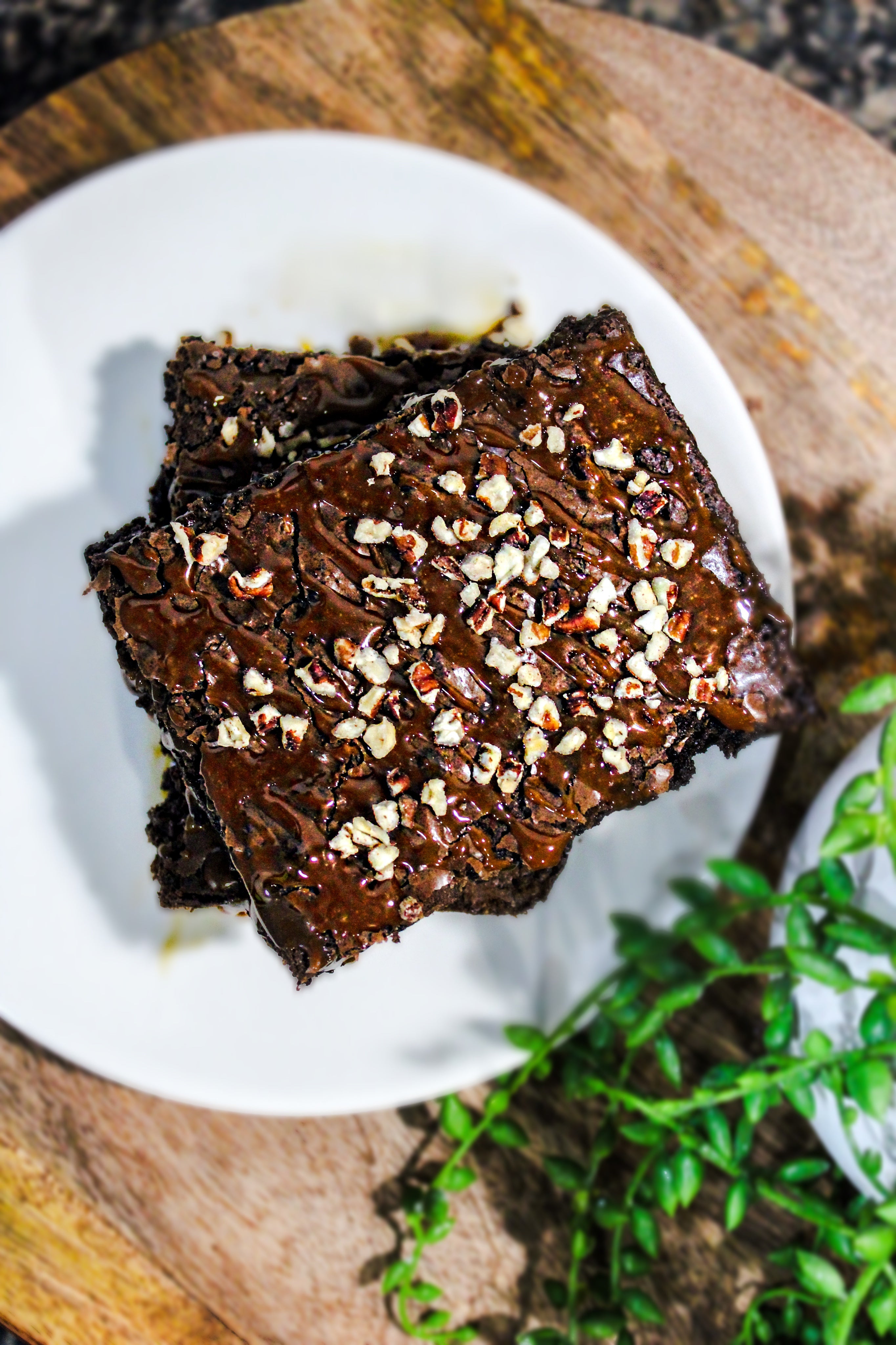 Half Turtle Brownie Pan